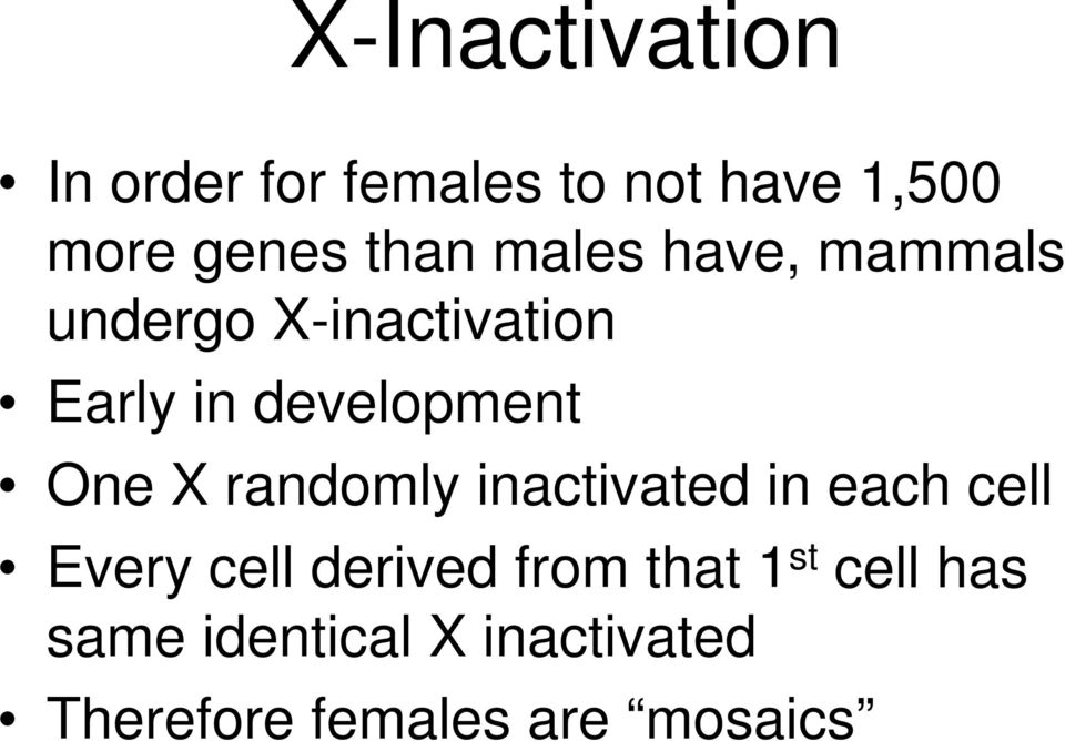 One X randomly inactivated in each cell Every cell derived from that