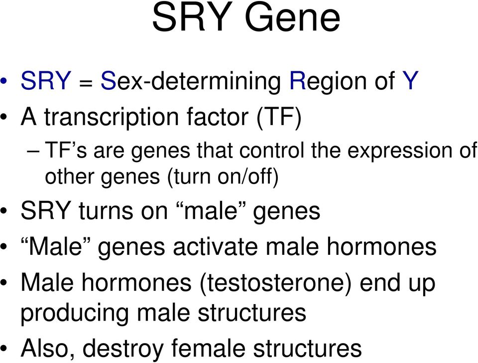 turns on male genes Male genes activate male hormones Male hormones