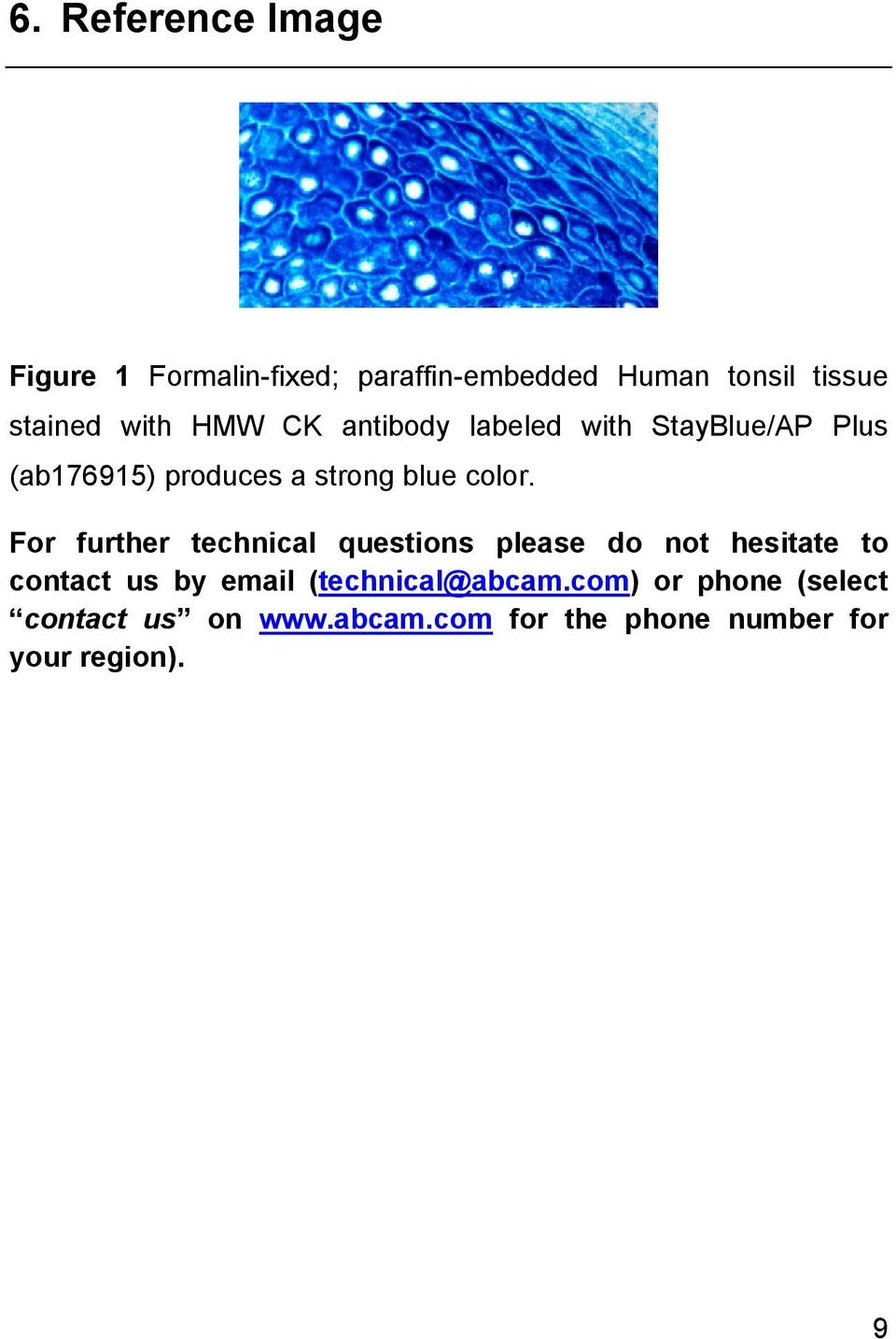 For further technical questions please do not hesitate to contact us by email