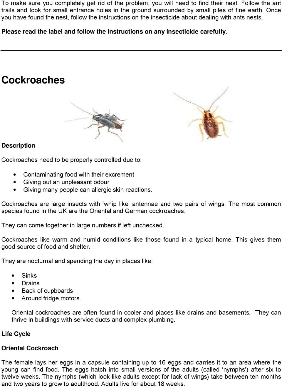 Cockroaches Cockroaches need to be properly controlled due to: Contaminating food with their excrement Giving out an unpleasant odour Giving many people can allergic skin reactions.