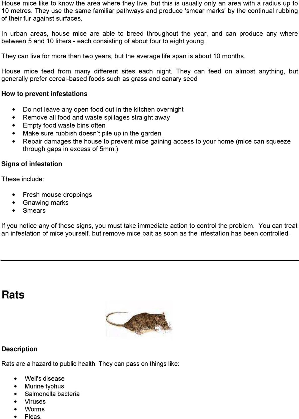 In urban areas, house mice are able to breed throughout the year, and can produce any where between 5 and 10 litters - each consisting of about four to eight young.