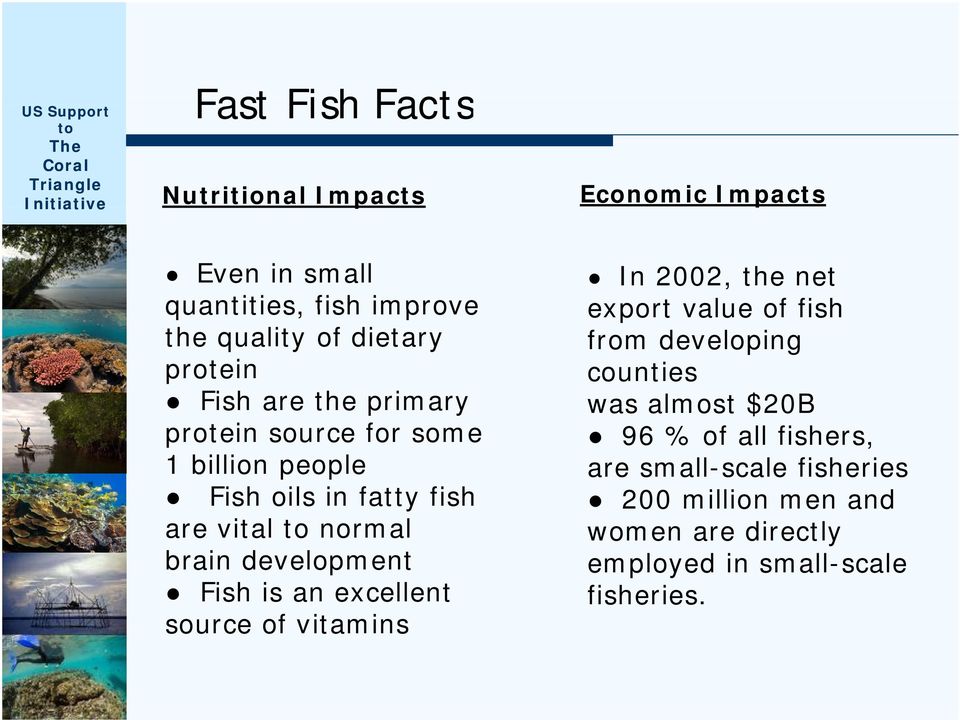 development Fish is an excellent source of vitamins i In 2002, the net export value of fish from developing counties was