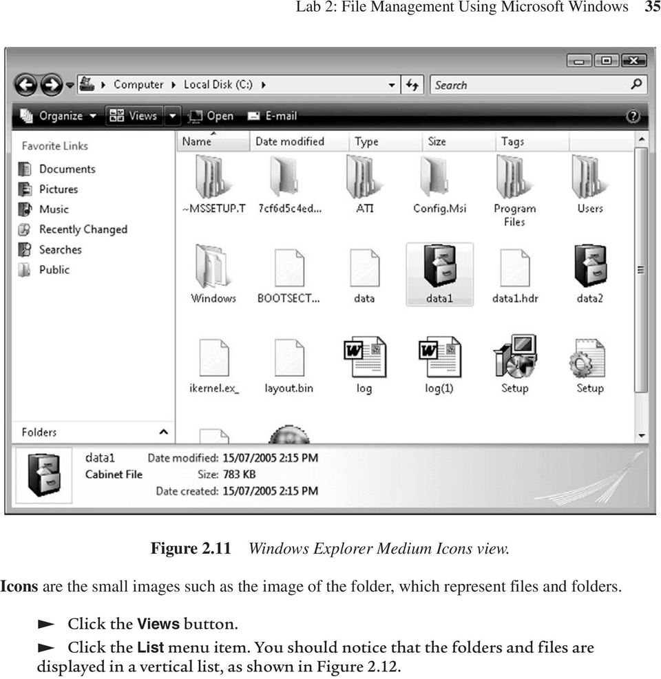Icons are the small images such as the image of the folder, which represent files and