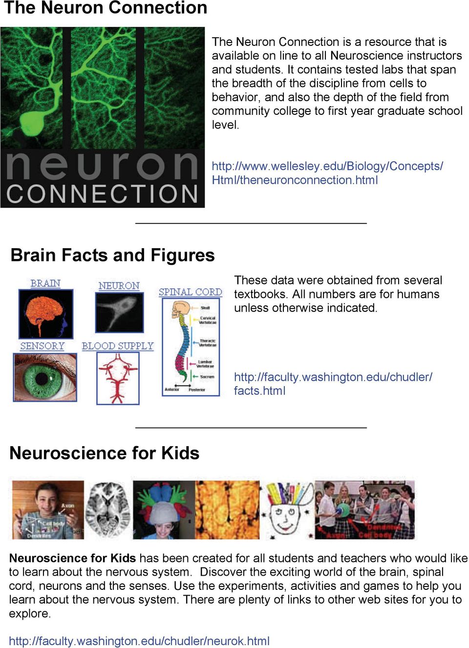 wellesley.edu/biology/concepts/ Html/theneuronconnection.html Brain Facts and Figures These data were obtained from several textbooks. All numbers are for humans unless otherwise indicated.