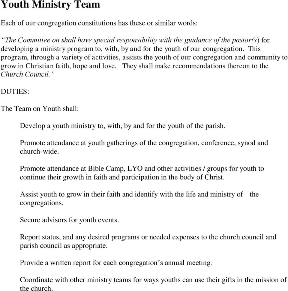 They shall make recommendations thereon to the Church Council. The Team on Youth shall: Develop a youth ministry to, with, by and for the youth of the parish.