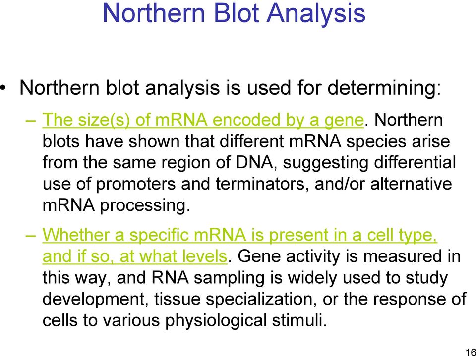 terminators, and/or alternative mrna processing. Whether a specific mrna is present in a cell type, and if so, at what levels.