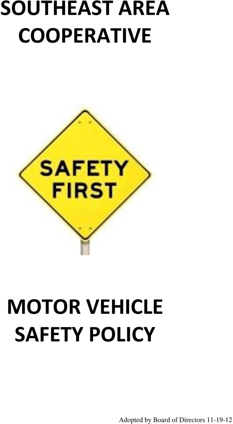 VEHICLE SAFETY POLICY