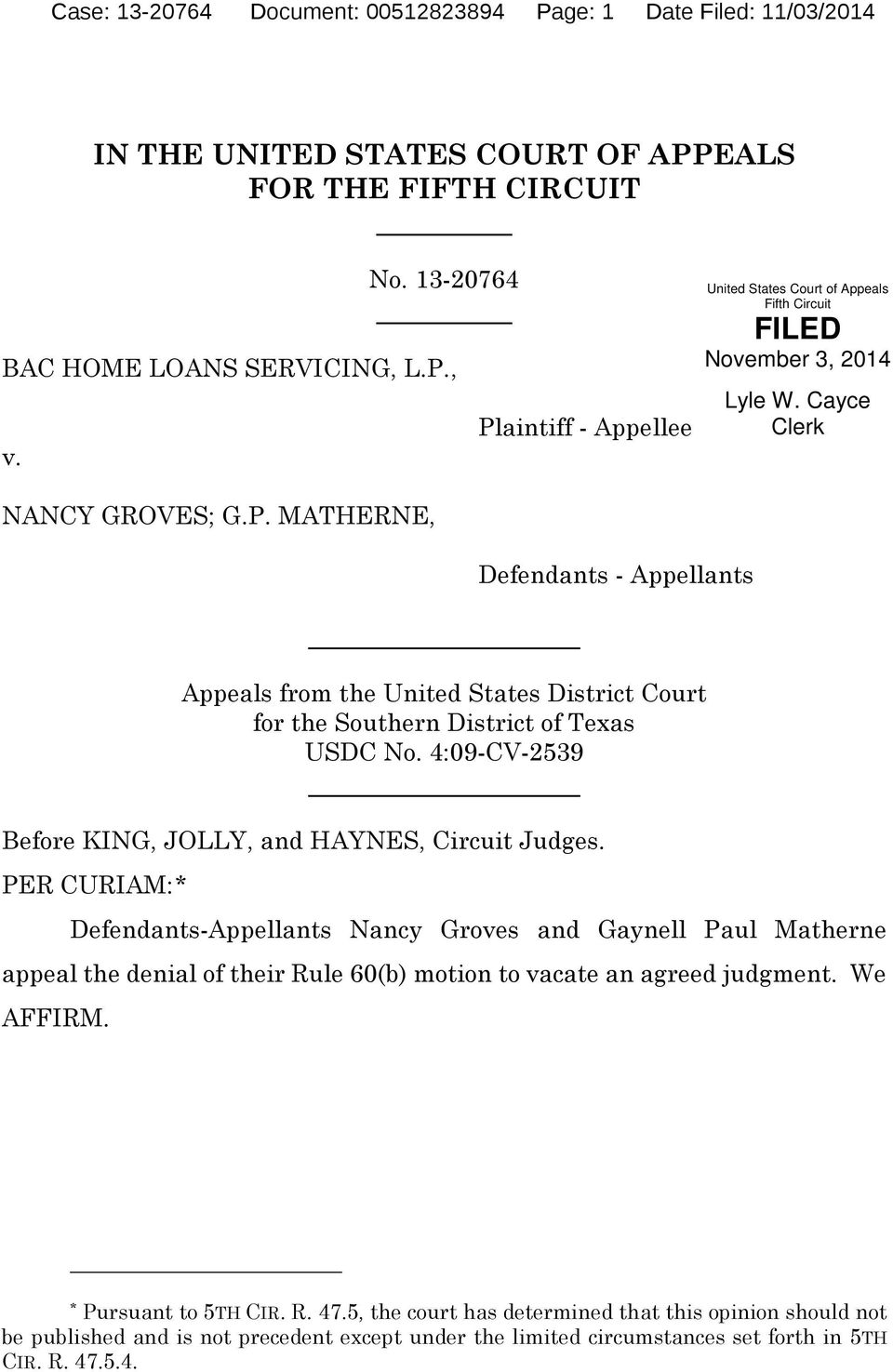 MATHERNE, Defendants - Appellants Appeals from the United States District Court for the Southern District of Texas USDC No. 4:09-CV-2539 Before KING, JOLLY, and HAYNES, Circuit Judges.