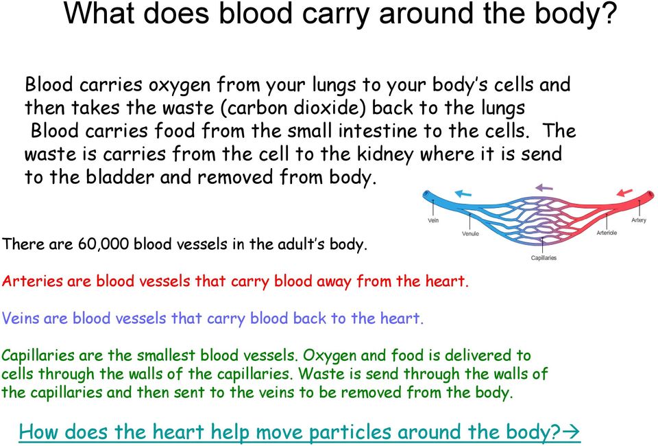 The waste is carries from the cell to the kidney where it is send to the bladder and removed from body. There are 60,000 blood vessels in the adult s body.