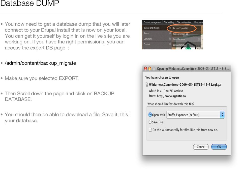 If you have the right permissions, you can access the export DB page : /admin/content/backup_migrate Make sure you