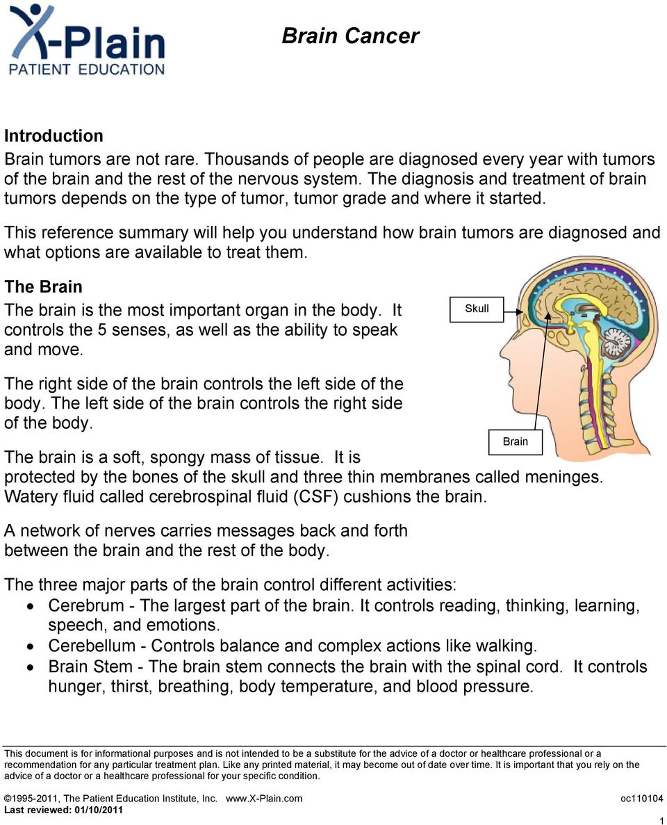This reference summary will help you understand how brain tumors are diagnosed and what options are available to treat them. The Brain The brain is the most important organ in the body.