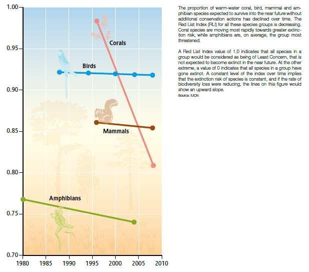 Figure 1: Decline of Species by Group courtesy of Global Biodiversity Outlook 4 Despite the downward decline, efforts have been made at all levels to protect and preserve biodiversity.
