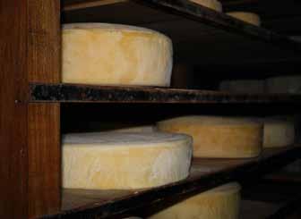 Cheese factories: Several stables were built to breed cows and then produce cheese, mozzarella and other dairy products.