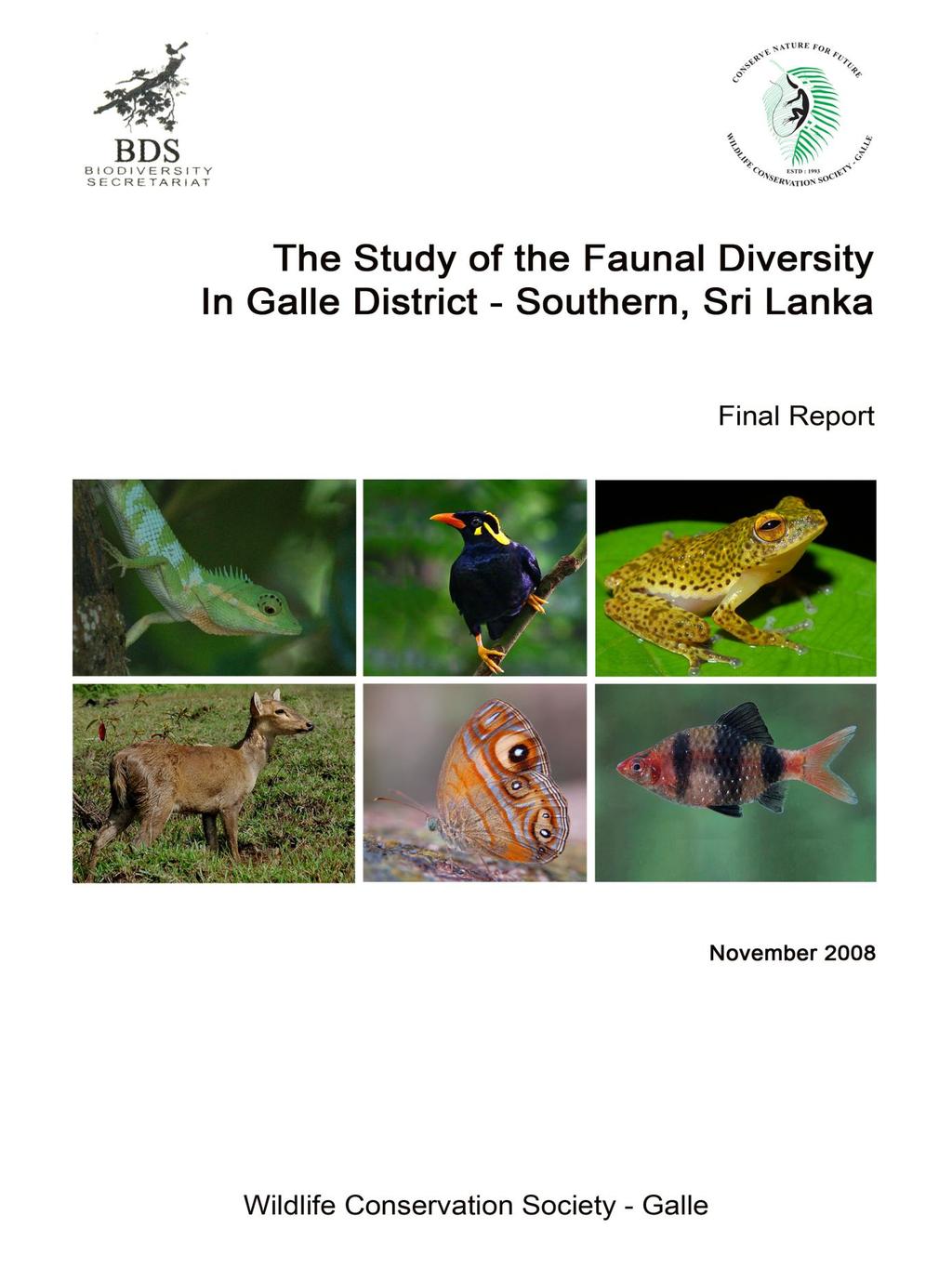 The Study of the Faunal Diversity In Galle District Southern, Sri Lanka  November PDF Free Download