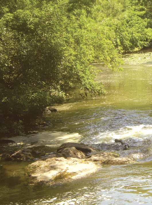 106 Річки басейну Південного Бугу К УДИНКА Ліва притока Південного Бугу, довжина якої 22 км.