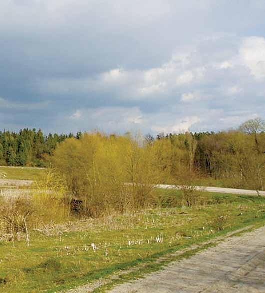 Річки басейну Дністра 141 зумовило нагромадження слабо розкладних решток трав янистої, мохової і чагарникової рослинності у вигляді торфу.