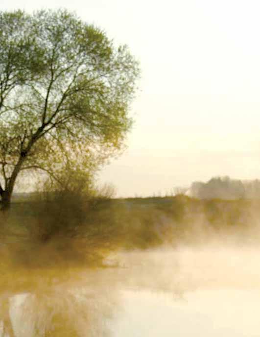 Річки басейну Дністра 147 с.капустяни, де вона утворює два ставки: перший у центрі села, а другий у долині на околиці.
