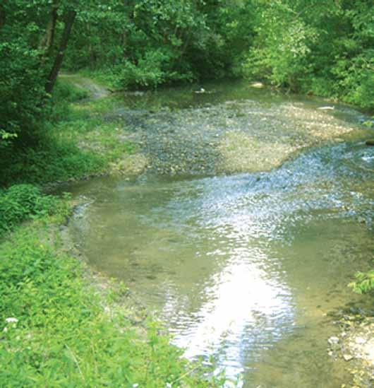 158 Річки басейну Дністра двоколосою; Новоушицькому, природна рослинність якого представлена грабовими, дубово-грабовими і дубовими лісами з поширенням дуба скельного.