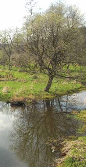 Річки басейну Дніпра 33 геоморфологічному районі. Ця територія рівнинна і має абсолютні висоти від 280 до 300 м. Поверхня басейну Калинівки знижується на північ, у бік Горині. Тут дуже мало лісів.