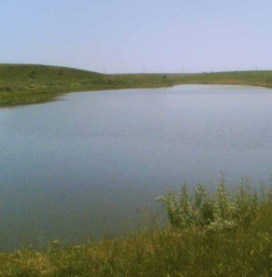 6 Річки басейну Дніпра ÁІЛКА (Слуцька) Її басейн розташований на північному сході Хмельниччини на території Старокостянтинівського району. Вона є лівою притокою Случі.
