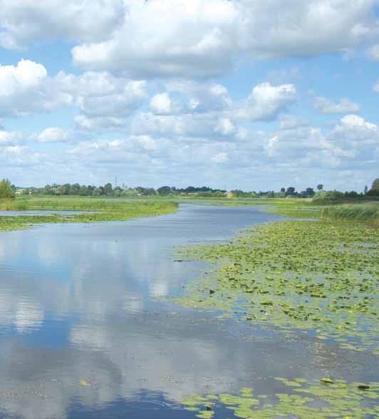 Річки басейну Дніпра 69 щах замінені орними землями полями. Тепер такі ліси можна побачити поблизу Заріччя, Ульянівки, Лютарки та Сошного. Ліси в басейні займають 5-7 відсотків території.