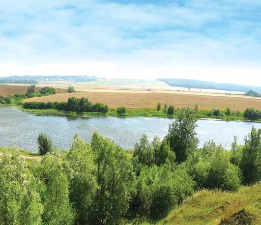 Річки басейну Дніпра 73 cуходільні луки, але вздовж русла тягнуться і заплавні луки.