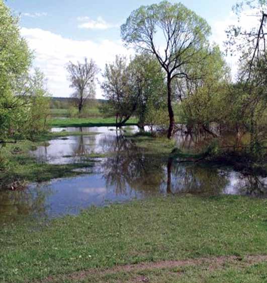 74 Річки басейну Дніпра УТКА Одна з найменших річок Хмельниччини, яка тече зі сходу на захід. Її басейн розташований на території Славутського і Шепетівського районів. Утка є правою притокою Горині.