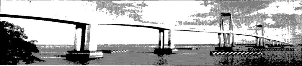 Fig. 5:'The Chuco Corrientes bridge ipltoro Freyssina) solutions to these problems The author considers that they also have to be preferred for shorter spans, even though they are slightly more