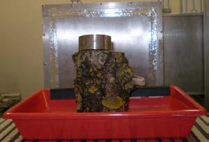 Visualization of water uptake in a trunk T. Bücherl, C. Lierse von Gostomski Figure : Photograph of the experimental set up for the measurement of water uptake in a trunk.