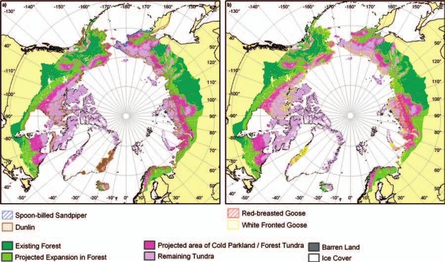 Evidence and Implications of Dangerous Climate Change in the Arctic 217 Figure 22.1 Current distributions and potential habitat loss for (a) waders and (b) geese.