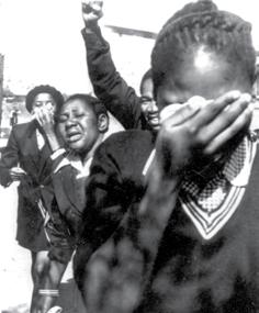 The youth became actively involved in politicising black communities. After 1976 the Apartheid government s repression of the struggle increased in intensity.