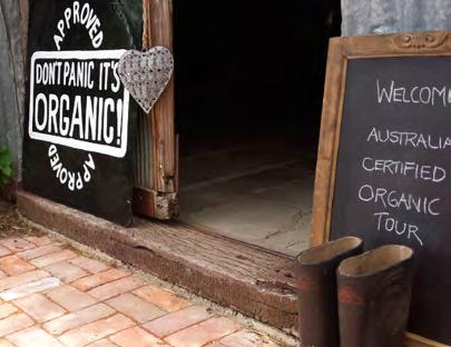 Ltd VIC Independent Retailer of the Year GOLD Bhumi Organic Cotton VIC (ON-LINE STORE) GOLD Wray Organic QLD