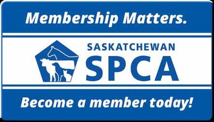The Humanitarian is published quarterly by the Saskatchewan Society for the Prevention of Cruelty to Animals (Saskatchewan SPCA) Box 37, Saskatoon, SK S7K 3K1 1.877.382.7722 Fax: 306.384.
