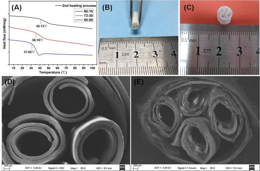 Construction of multi-channeled nerve conduit with shape memory nanofibers Jing Wang and Xiaoli Zhao 1 Shenzhen Institutes of Advanced Technology, Chinese Academy of Sciences, 1068 Xueyuan Avenue,