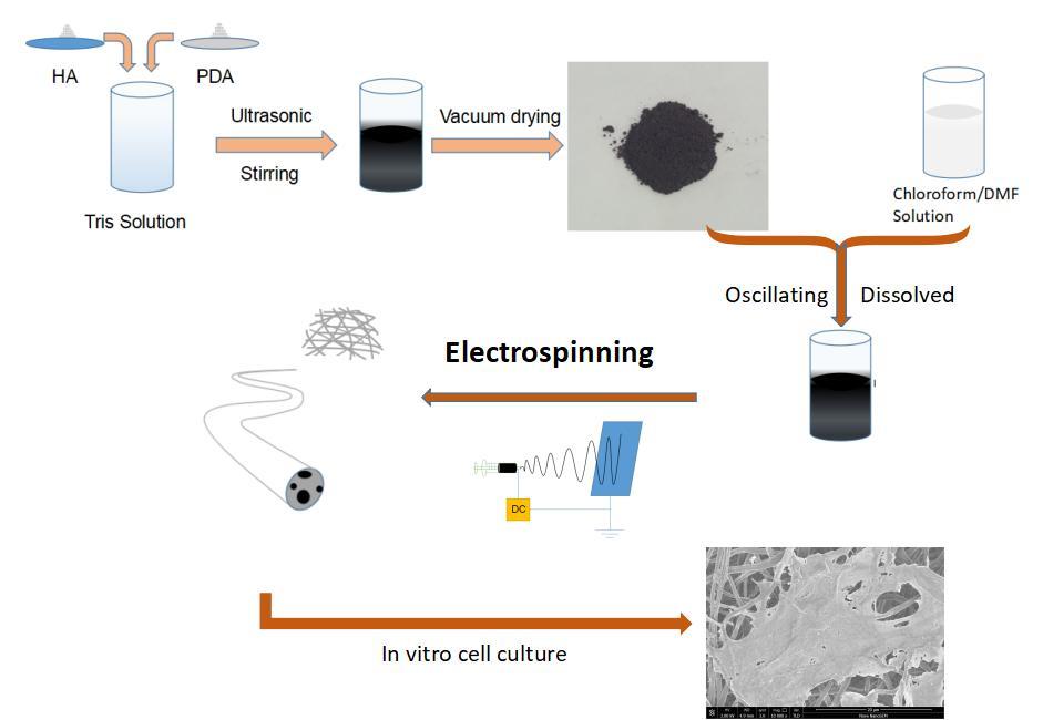 Study on the morphological, mechanical and thermal properties of poly(lactic acid) (PLA)/Hydroxyapatite(HA) /Dopamine composites nanofiber for tissue engineering Xiangfang Peng 1, Zhixiang Cui 1,