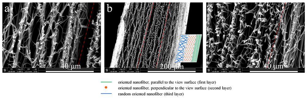 Biomimic dual-oriented electrospun nanofibers for vascular regeneration Xingmao Li 1, Huang Lin 1, Long Li 1* 1 Collage of Materials and Metallurgy, Guizhou University, Guiyang, Guizhou Province, P.