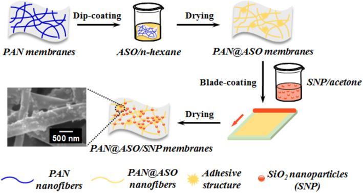 Robust Fluorine-free Superhydrophobic Waterproof and Breathable Nanofibrous Membranes Junlu Sheng, Zhe Li, Yongbo Yao, and Zhiyong Yan College of Materials and Textile Engineering, Jiaxing