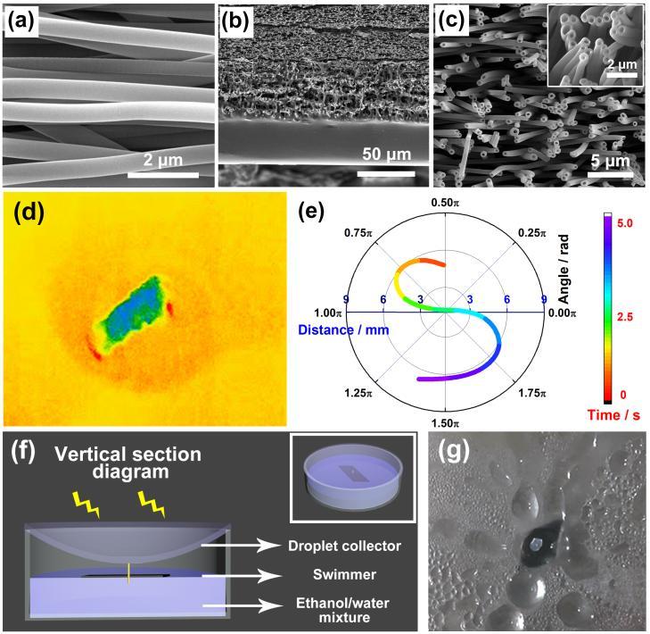 Hollow Fibers Swimmer Based on Marangoni Effect for Controlled and Continuous Motion Dianming Li, NüWang, Zhimin Cui, Yong Zhao Key Laboratory of Bio-Inspired Smart Interfacial Science and Technology