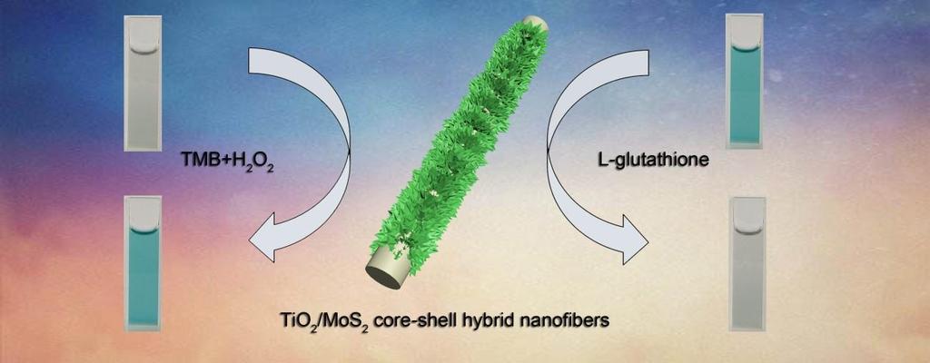 Controlled synthesis of titanium dioxide/molybdenum disulfide core-shell hybrid nanofibers with enhanced peroxidase-like activity for colorimetric detection of glutathione Wendong Zhu, Maoqiang Chi,