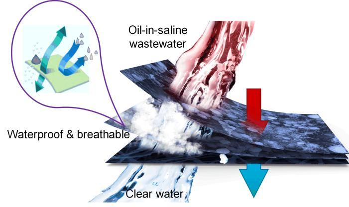Breathable and asymmetrically superwettable Janus membrane with robust oil-fouling resistance for durable membrane distillation Zhigao Zhu, Lingling Zhong, Fuyi Cui, Wei Wang State Key Laboratory of
