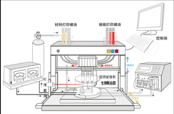 Bioeletrospinng or Bioprinting? Tao Xu 1 1 Bio-manufacturing Center, Department of Mechanical Engineering, Tsinghua University, Beijing, China. taoxu@mail.tsinghua.edu.