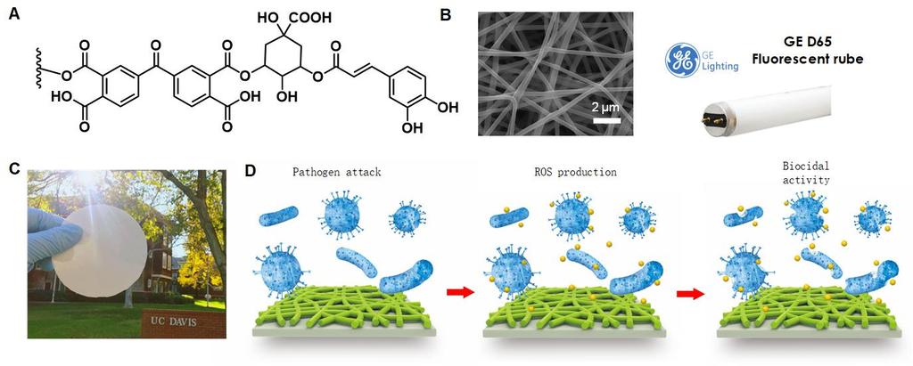 Daylight-driven rechargeable antibacterial and antiviral nanofibrous membranes for bioprotective applications Yang Si 1, Gang Sun 2, Bin Ding 1 and Jianyong Yu 1 1 Innovation Center for Textile