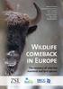 WILDLIFE COMEBACK IN EUROPE. The recovery of selected mammal and bird species
