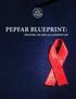 PEPFAR Blueprint: Creating an AIDS-free Generation