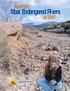 Most Endangered Rivers