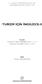 TUR ZM Ç N NG L ZCE-II