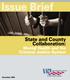 Issue Brief. State and County Collaboration: Mental Health and the Criminal Justice System