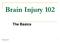 Brain Injury 102 The Basics
