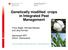 Genetically modified crops in Integrated Pest Management