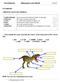 Worksheets Dinosaurs are back! 2012